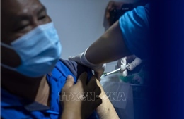 Dự án nghiên cứu bào chế vaccine của Malaysia đạt tiến độ khả quan