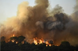 Cháy rừng đe dọa khu bảo tồn thiên nhiên tại Pháp