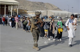 Taliban thiết lập trật tự ở sân bay Kabul