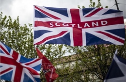 Chính phủ Anh không ngăn cản Scotland tổ chức trưng cầu ý dân về độc lập