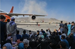 Các hãng hàng không Mỹ có thể tham gia hoạt động sơ tán tại Afghanistan
