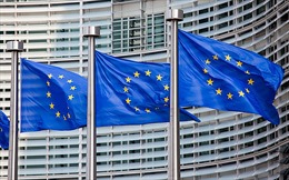 EU cập nhập điều kiện hưởng cơ chế ưu đãi thuế