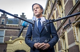 Thủ tướng Hà Lan có thể là mục tiêu tấn công của tội phạm ma túy