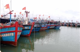 Thừa Thiên - Huế hoàn thành kêu gọi tàu thuyền vào khu neo đậu tránh bão