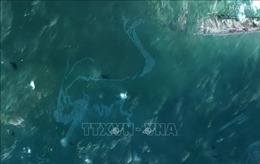 Rò rỉ đường ống dẫn dầu ngoài khơi bang Louisiana