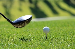 Miễn nhiệm Phó Cục trưởng Cục Thuế Bình Định đi đánh golf khi giãn cách
