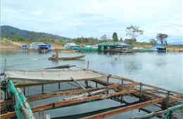 Thẩm định Quy hoạch tổng hợp lưu vực sông Sê San