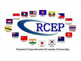 Brunei phê chuẩn Hiệp định thương mại tự do lớn nhất thế giới RCEP
