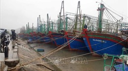 Kiểm tra công tác ứng phó với bão số 8 tại Nghệ An