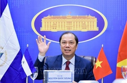 Tham khảo chính trị Việt Nam - Nicaragua