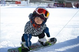 Bé gái 11 tháng tuổi trượt tuyết trở thành hiện tượng trên mạng xã hội