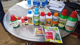 Danh mục thuốc bảo vệ thực vật được sử dụng tại Việt Nam