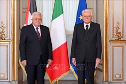 Thúc đẩy quan hệ song phương Palestine - Italy