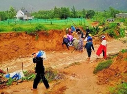 Bình Định: Khẩn trương khắc phục hậu quả đợt mưa lũ