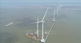 Sớm hoàn thiện thể chế và thị trường phát triển điện gió