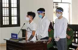 Ninh Thuận: Án phạt nghiêm khắc cho nhóm thanh niên vô cớ đánh người