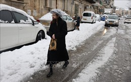 Tuyết rơi hiếm thấy tại Trung Đông