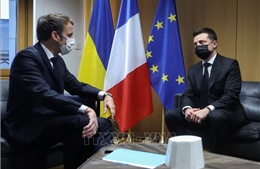 Lãnh đạo Ukraine và Pháp thảo luận hợp tác theo định dạng Normandy