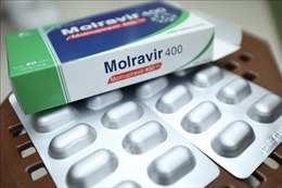 Bổ sung hướng dẫn sử dụng của remdesivir và molnupiravir