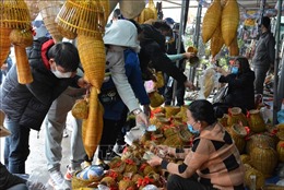 Nam Định dừng tất cả các lễ hội đầu năm