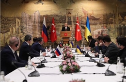 Ngoại trưởng Thổ Nhĩ Kỳ nhận định hòa đàm Nga - Ukraine đạt tiến triển quan trọng