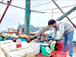 Ngư dân Quảng Ninh lao đao khi giá nhiên liệu &#39;phi mã&#39;