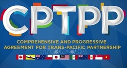 Hàn Quốc quyết định gia nhập CPTPP