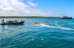Chìm tàu chở dầu diesel ngoài khơi quần đảo Galapagos của Ecuador