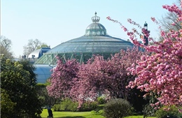 Vườn thượng uyển Hoàng gia Bỉ mở cửa chào đón du khách