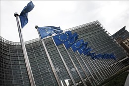 EU chia rẽ về vấn đề thay đổi hiệp ước của khối