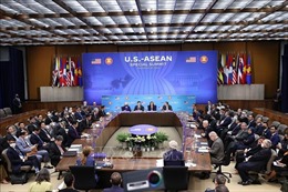 Thứ trưởng Hà Kim Ngọc: Việt Nam đóng góp quan trọng vào thành công Hội nghị cấp cao đặc biệt ASEAN - Hoa Kỳ