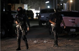 Tấn công vũ trang tại Mexico, ít nhất 11 người tử vong