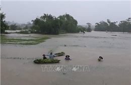 Mưa lớn gây úng ngập hơn 4.000 ha lúa, rau màu tại Hà Nội