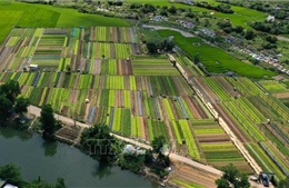 Thừa Thiên - Huế: Huyện Quảng Điền đạt chuẩn nông thôn mới