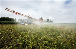 Ủy ban châu Âu chủ trương cấm thuốc trừ sâu neonicotinoids trong sản phẩm nhập khẩu