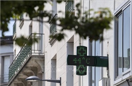 Pháp phạt tiền các cửa hàng lãng phí điện chạy điều hòa không khí