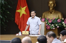 Phó Thủ tướng Lê Minh Khái: Phải xử lý dứt điểm hai dự án Đạm Ninh Bình và Nhà máy đóng tàu Dung Quất