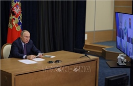 Tổng thống Nga: Vụ thu hoạch ngũ cốc năm 2022 dự báo đạt kỷ lục