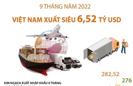 Chín tháng năm 2022: Việt Nam xuất siêu 6,52 tỷ USD