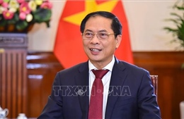Bộ trưởng ngoại giao Bùi Thanh Sơn tiếp Điều phối viên thường trú LHQ tại Việt Nam