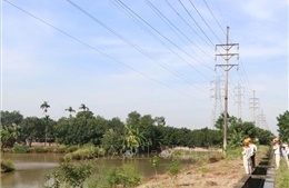 Khẩn trương thi công đường dây 220 kV Nhiệt điện Hải Dương - Trạm 500 kV Phố Nối