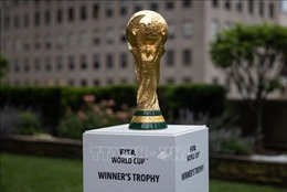 WORLD CUP 2022: Đại học Oxford đưa ra dự đoán về giải đấu