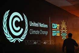 COP27: LHQ công bố khởi động Sáng kiến thị trường carbon châu Phi