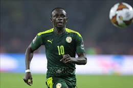 WORLD CUP 2022: Bảng A - Phép thử Senegal cho &#39;Cơn lốc màu Da cam&#39;