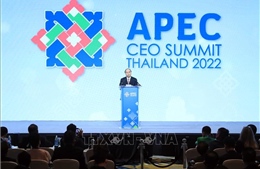 Việt Nam luôn tham gia tích cực và có sáng kiến cụ thể trong APEC