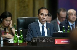 Indonesia sẵn sàng hỗ trợ sáng kiến &#39;Đối tác về cơ sở hạ tầng và đầu tư toàn cầu&#39;