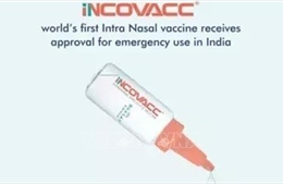Ấn Độ phê duyệt vaccine nhỏ mũi phòng COVID-19