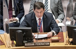 Nga yêu cầu HĐBA họp bàn về ý tưởng đưa quân NATO tới Ukraine