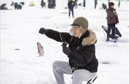 Nhộn nhịp lễ hội câu cá trên băng nổi tiếng ở Hàn Quốc