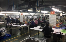Hải Dương: Người lao động tại Công ty giày Bình Dương đã đi làm trở lại